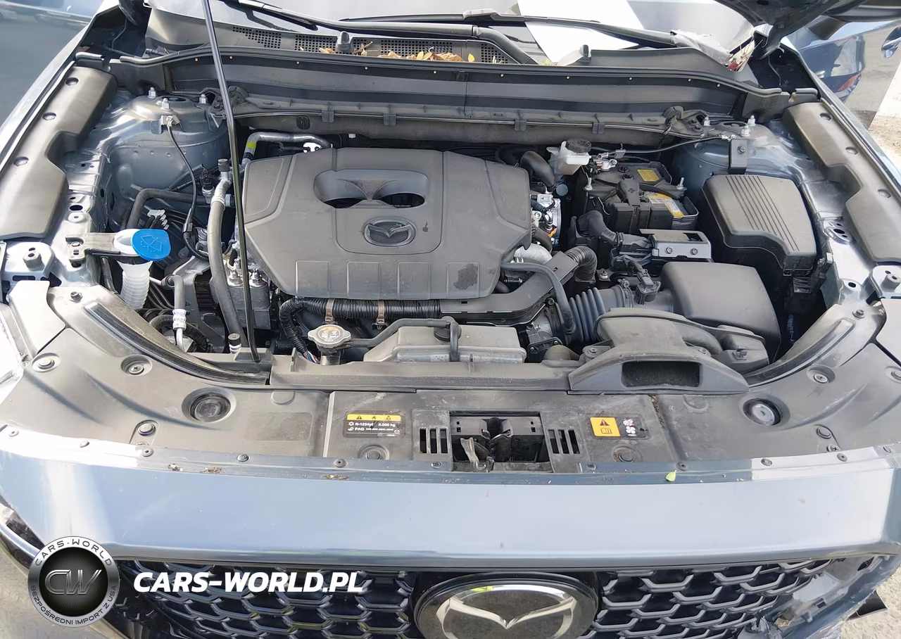 2025 Mazda Cx-5 2.5 S Carbon Edition VIN:JM3KFBCM7S0681687 - 10