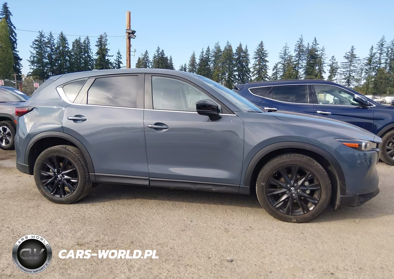 2025 Mazda Cx-5 2.5 S Carbon Edition VIN:JM3KFBCM7S0681687 - 14