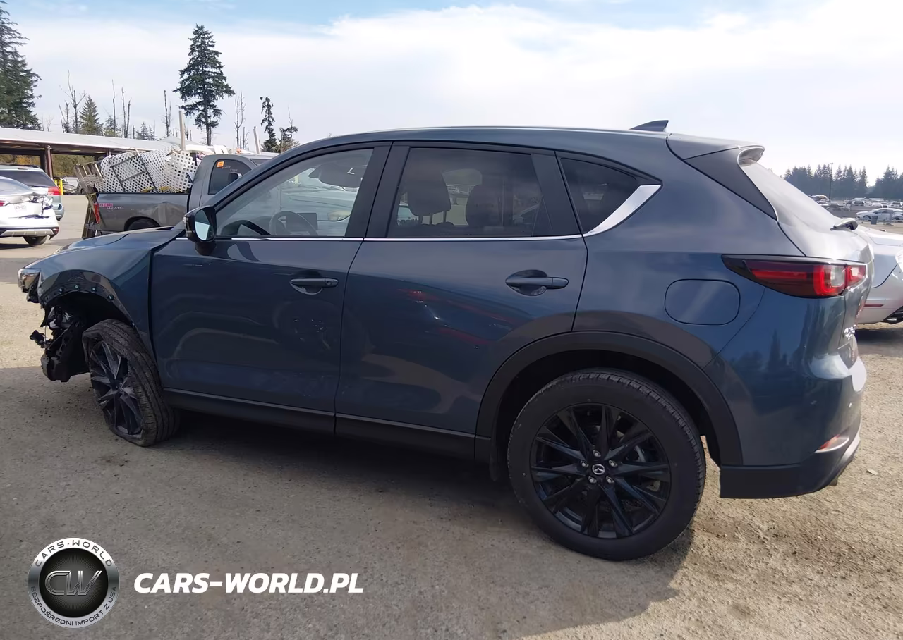 2025 Mazda Cx-5 2.5 S Carbon Edition VIN:JM3KFBCM7S0681687 - 15