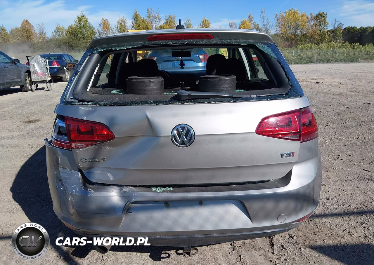 2016 Volkswagen Golf Tsi S 4-Door VIN:3VW217AU9GM056670 - 17