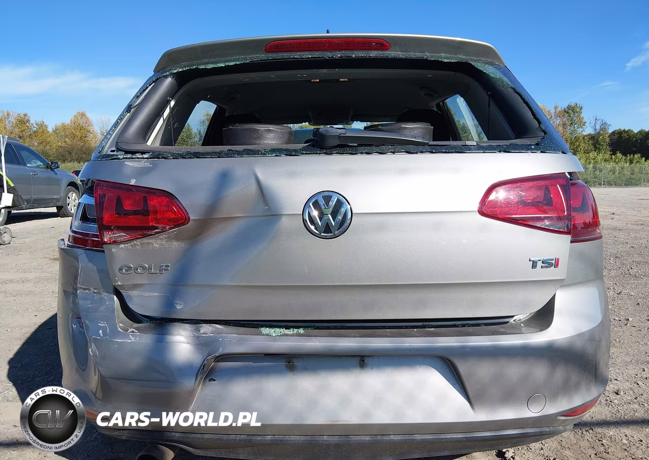 2016 Volkswagen Golf Tsi S 4-Door VIN:3VW217AU9GM056670 - 6