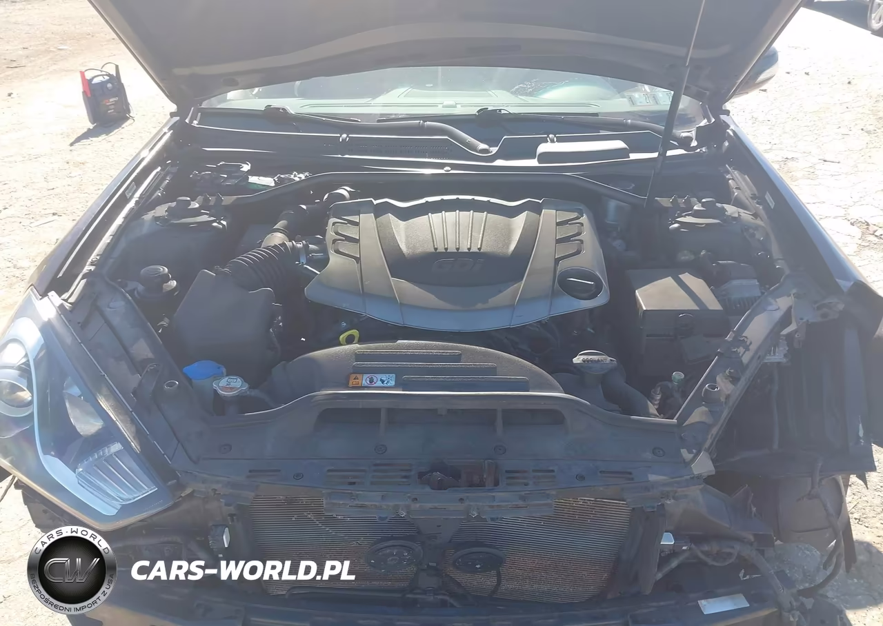 2013 Hyundai Genesis 3.8 Track VIN:KMHHU6KJ4DU104145 - 10
