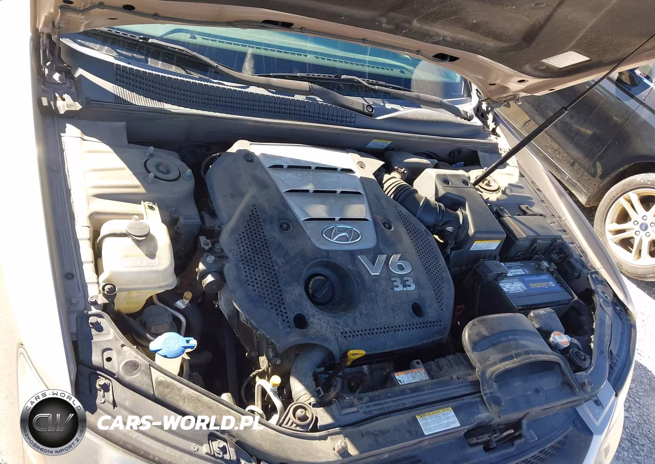 2007 Hyundai Sonata Limited-Se V6 VIN:5NPEU46F47H185115 - 10