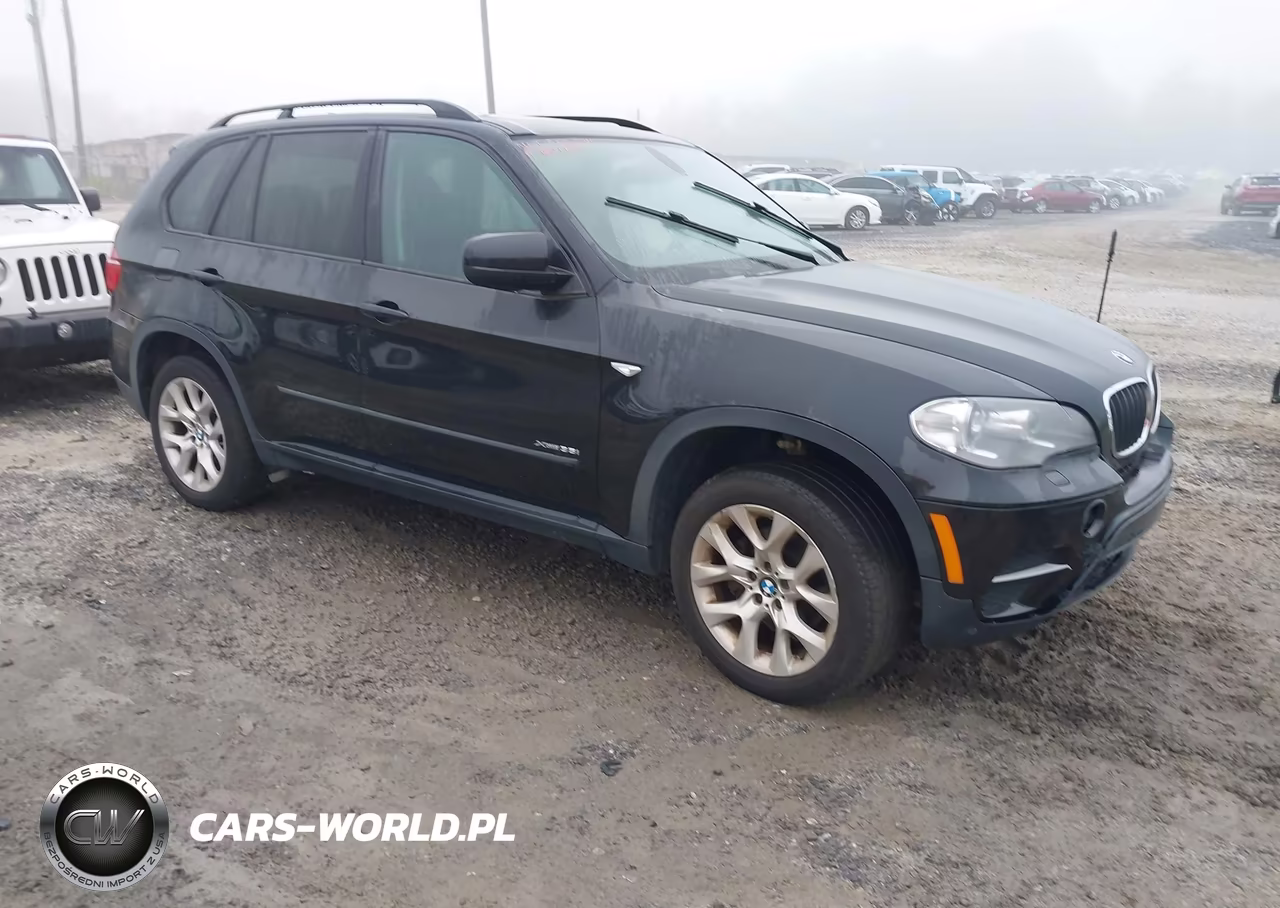 2013 BMW X5 xDrive35I-xDrive35I Premium-xDrive35I Sport Activity VIN:5UXZV4C56D0B01722 - 1
