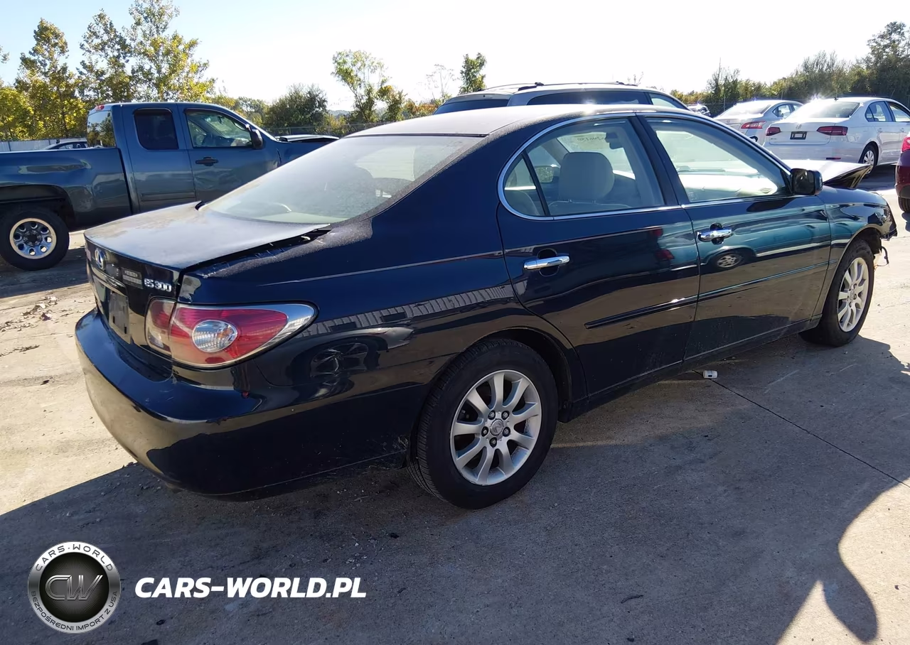 2002 Lexus Es 300 VIN:JTHBF30G425014980 - 4