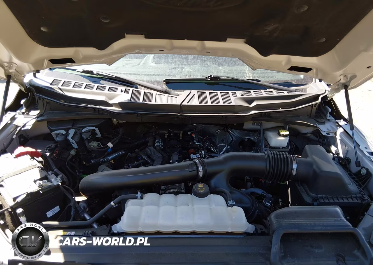 2024 Ford F-150 Xlt VIN:1FTFW3L83RKF46854 - 10