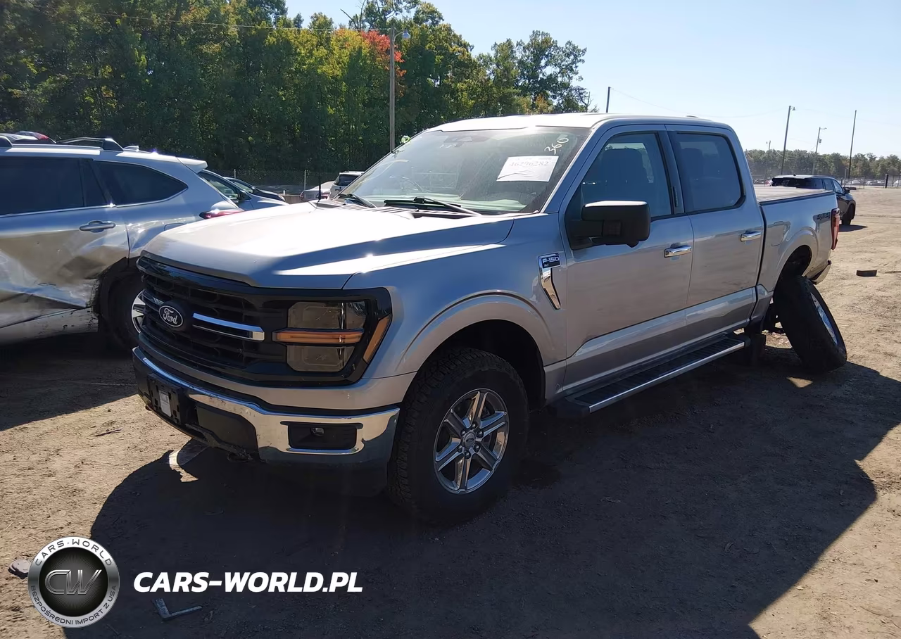 2024 Ford F-150 Xlt VIN:1FTFW3L83RKF46854 - 2