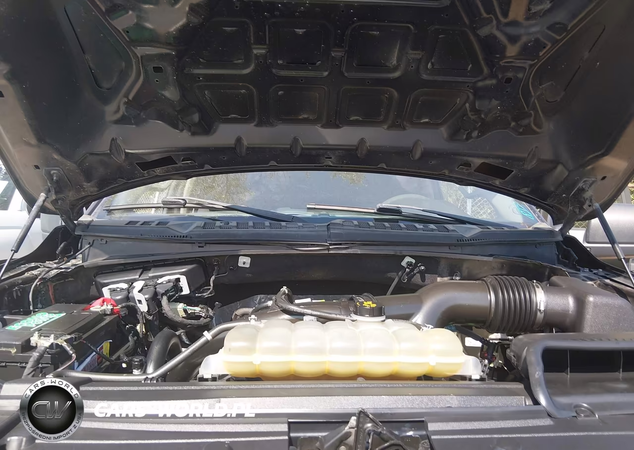 2019 Ford F150 Supercrew VIN:1FTEW1CP0KKE35109 - 10