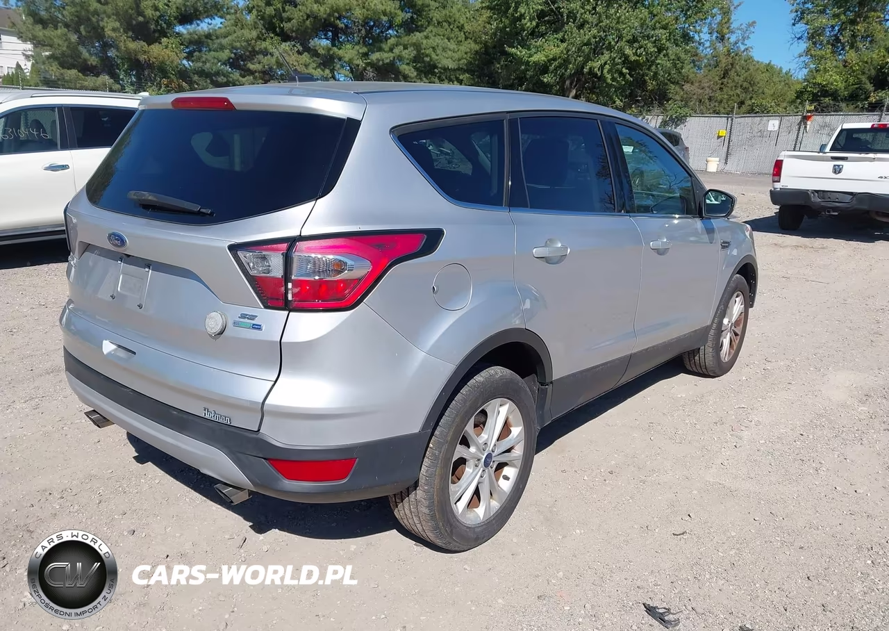 2017 Ford Escape Se VIN:1FMCU9GDXHUF00469 - 4