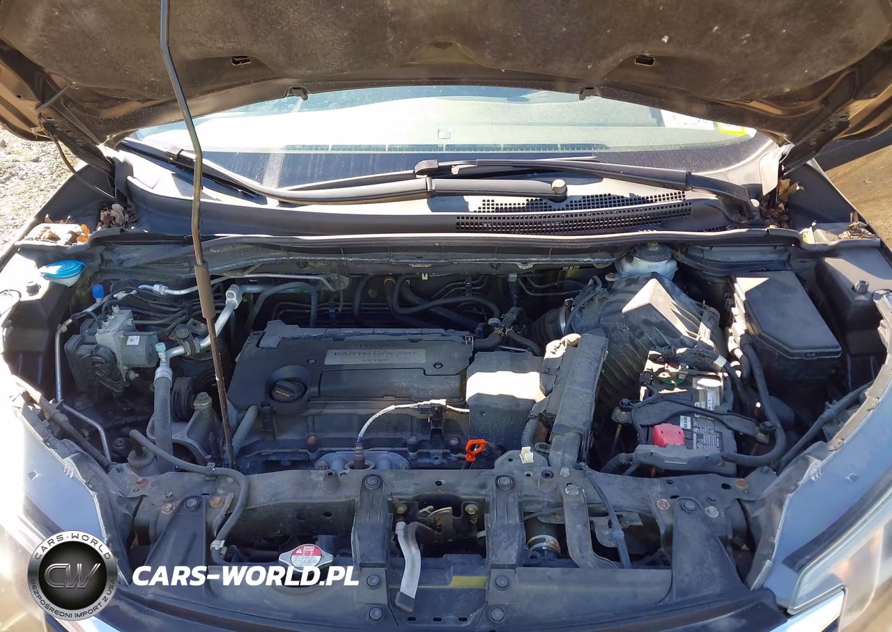 2015 Honda Cr-V Lx VIN:5J6RM4H3XFL013051 - 10