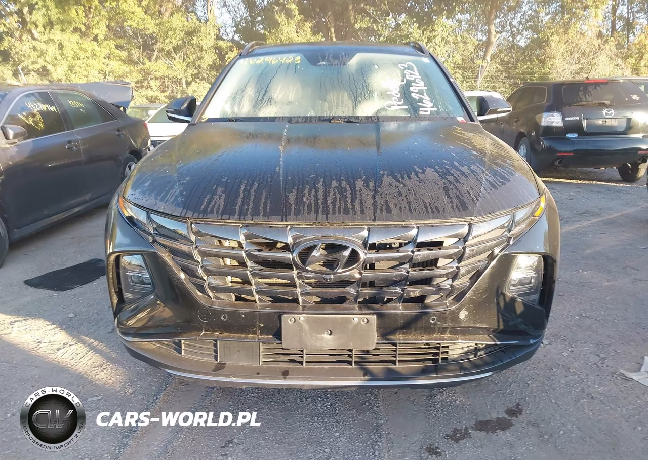 2022 Hyundai Tucson Hybrid Limited VIN:KM8JECA19NU029779 - 12