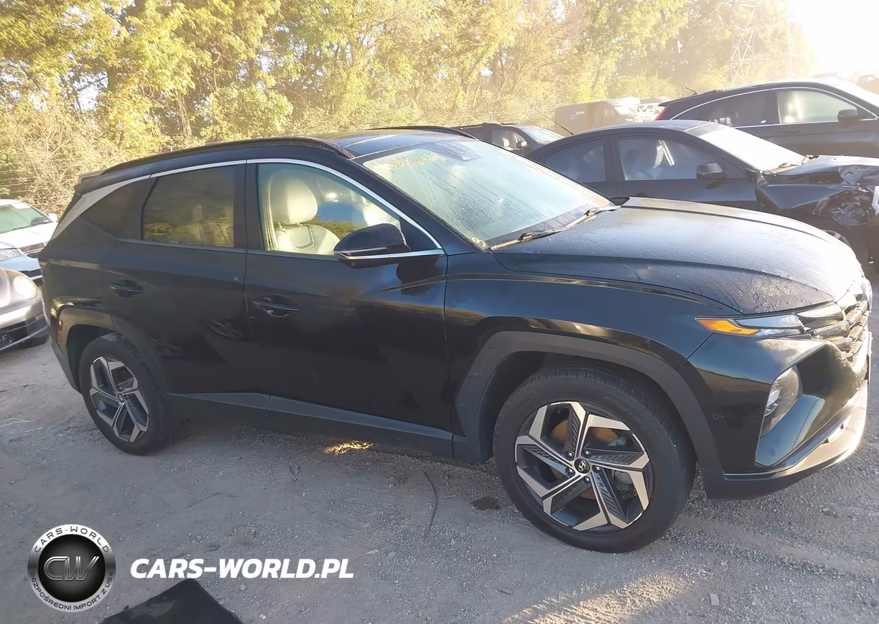 2022 Hyundai Tucson Hybrid Limited VIN:KM8JECA19NU029779 - 13