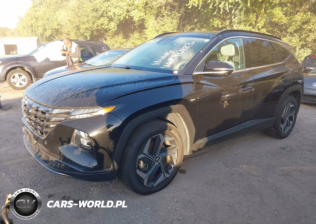 2022 Hyundai Tucson Hybrid Limited VIN:KM8JECA19NU029779 - 2