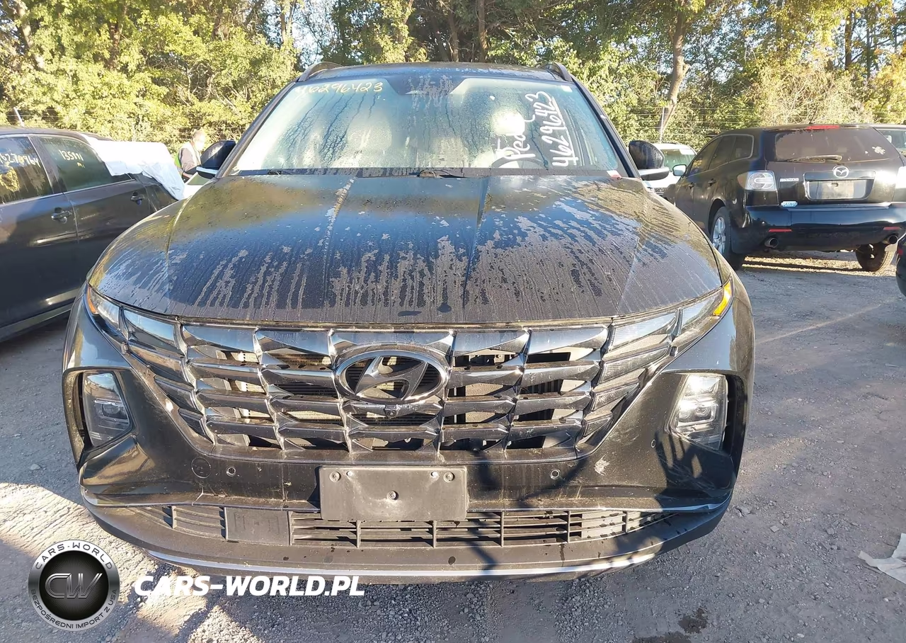 2022 Hyundai Tucson Hybrid Limited VIN:KM8JECA19NU029779 - 6