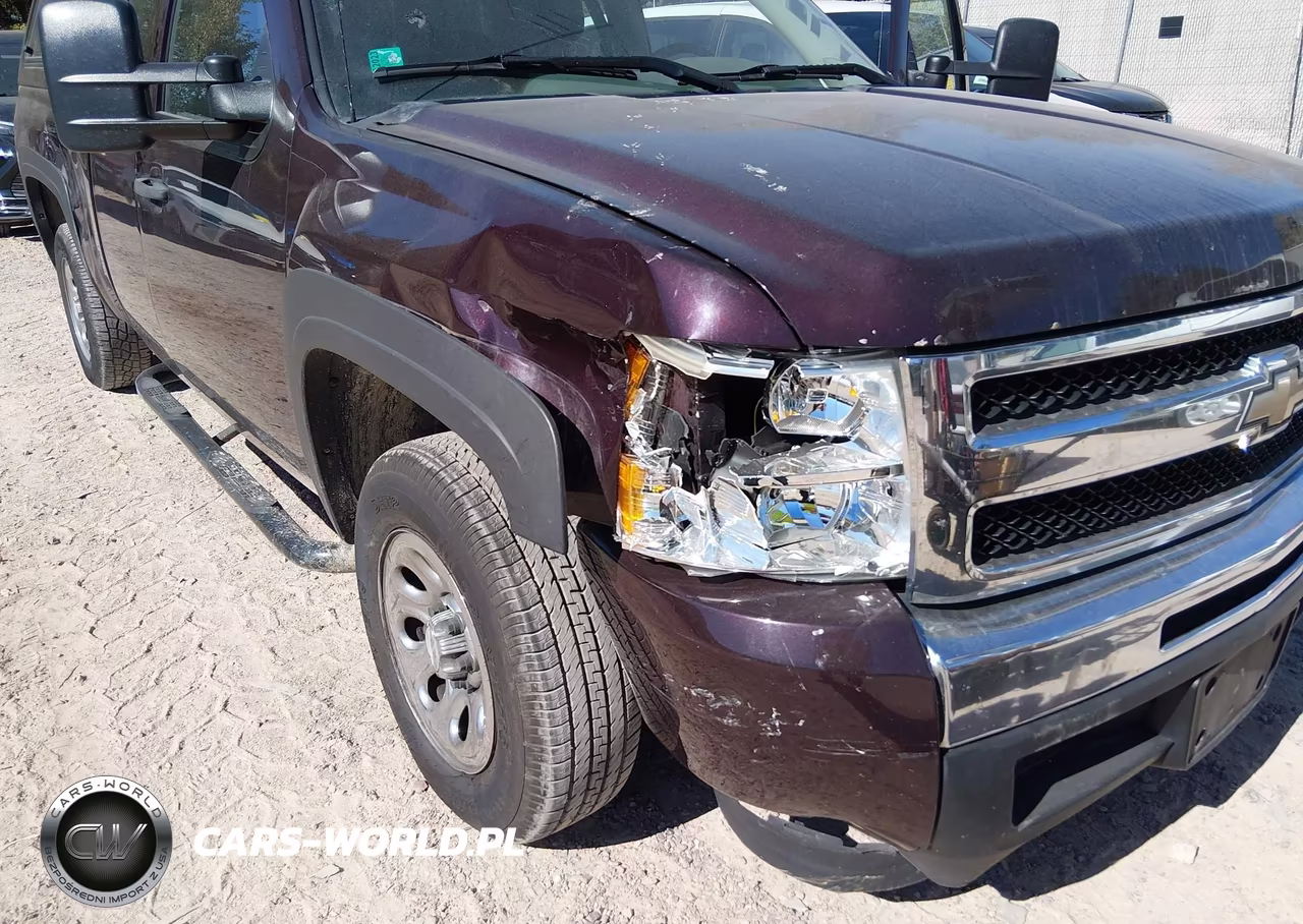 2009 Chevrolet Silverado 1500 Work Truck VIN:1GCEC19079Z172637 - 6