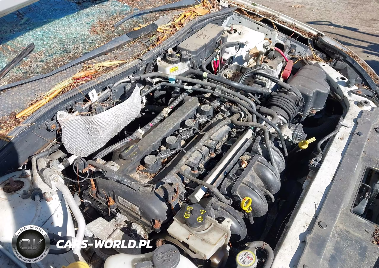 2009 Ford Focus Se VIN:1FAHP35N39W195869 - 10