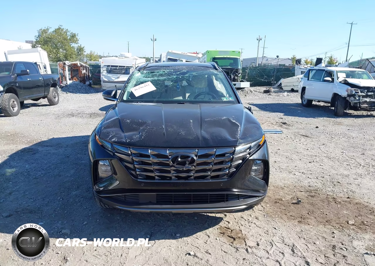 2022 Hyundai Tucson Limited VIN:5NMJECAE1NH155455 - 12