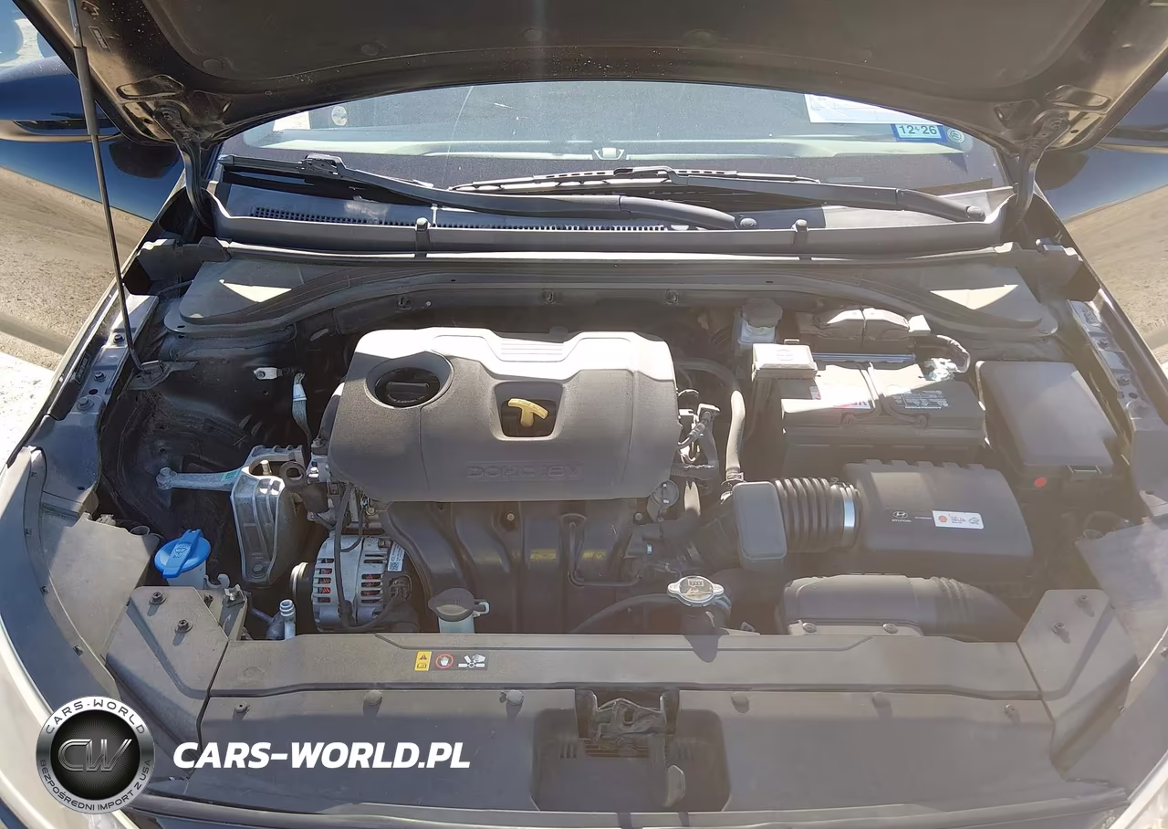 2019 Hyundai Elantra Sel VIN:5NPD84LF2KH493770 - 10