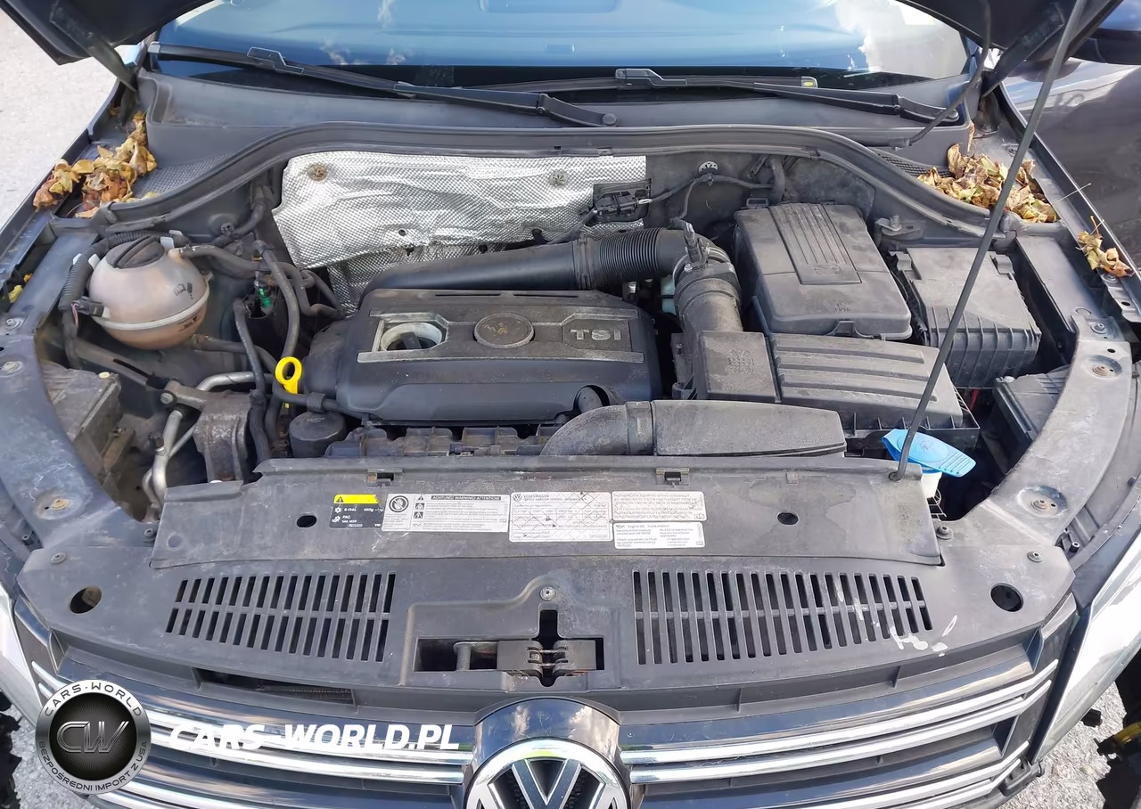 2016 Volkswagen Tiguan Se VIN:WVGBV7AX7GW589081 - 10