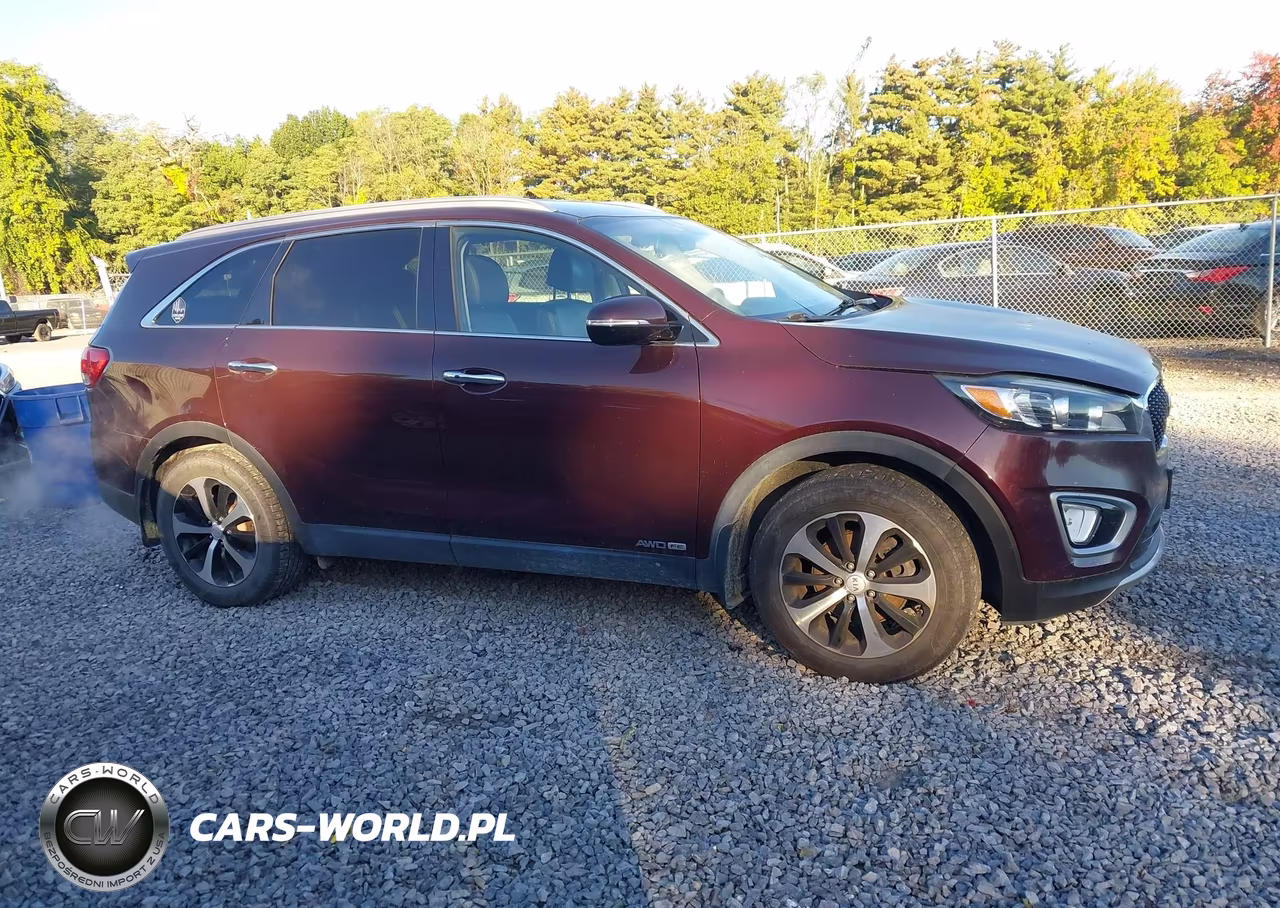 2017 Kia Sorento 3.3L Ex VIN:5XYPHDA52HG247907 - 13