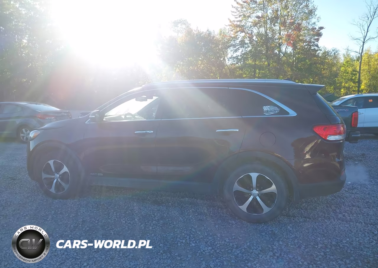 2017 Kia Sorento 3.3L Ex VIN:5XYPHDA52HG247907 - 14