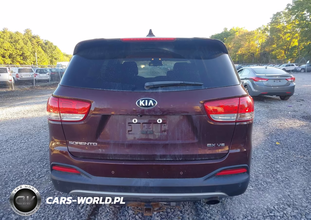 2017 Kia Sorento 3.3L Ex VIN:5XYPHDA52HG247907 - 16