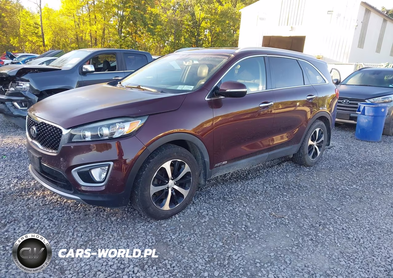 2017 Kia Sorento 3.3L Ex VIN:5XYPHDA52HG247907 - 2
