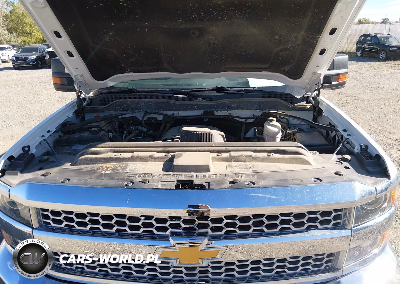 2019 Chevrolet Silverado 2500Hd Wt VIN:2GC2KREG7K1191260 - 10
