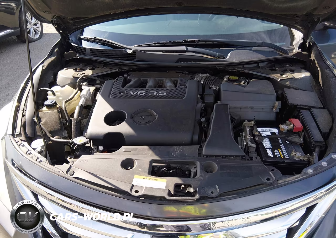 2013 Nissan Altima 3.5 Sl VIN:1N4BL3AP9DN484620 - 10