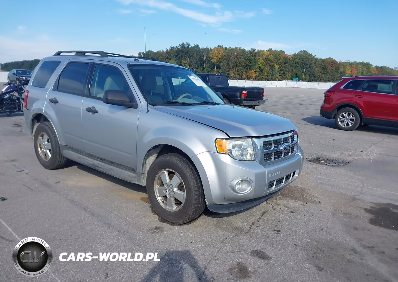 2010 Ford Escape Xlt
