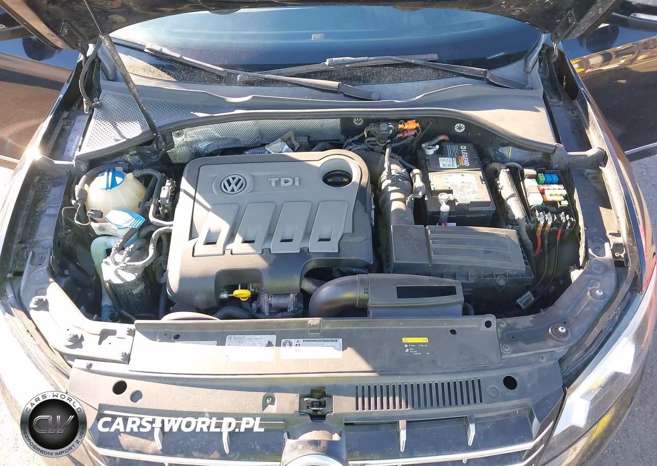 2014 Volkswagen Passat 2.0L Tdi Sel Premium VIN:1VWCN7A39EC018502 - 10