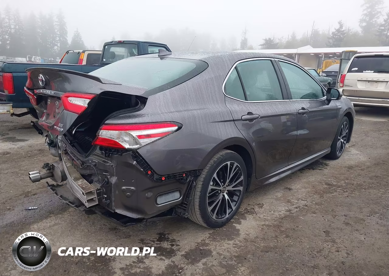 2020 Toyota Camry Se Hybrid VIN:4T1G31AK5LU537550 - 4