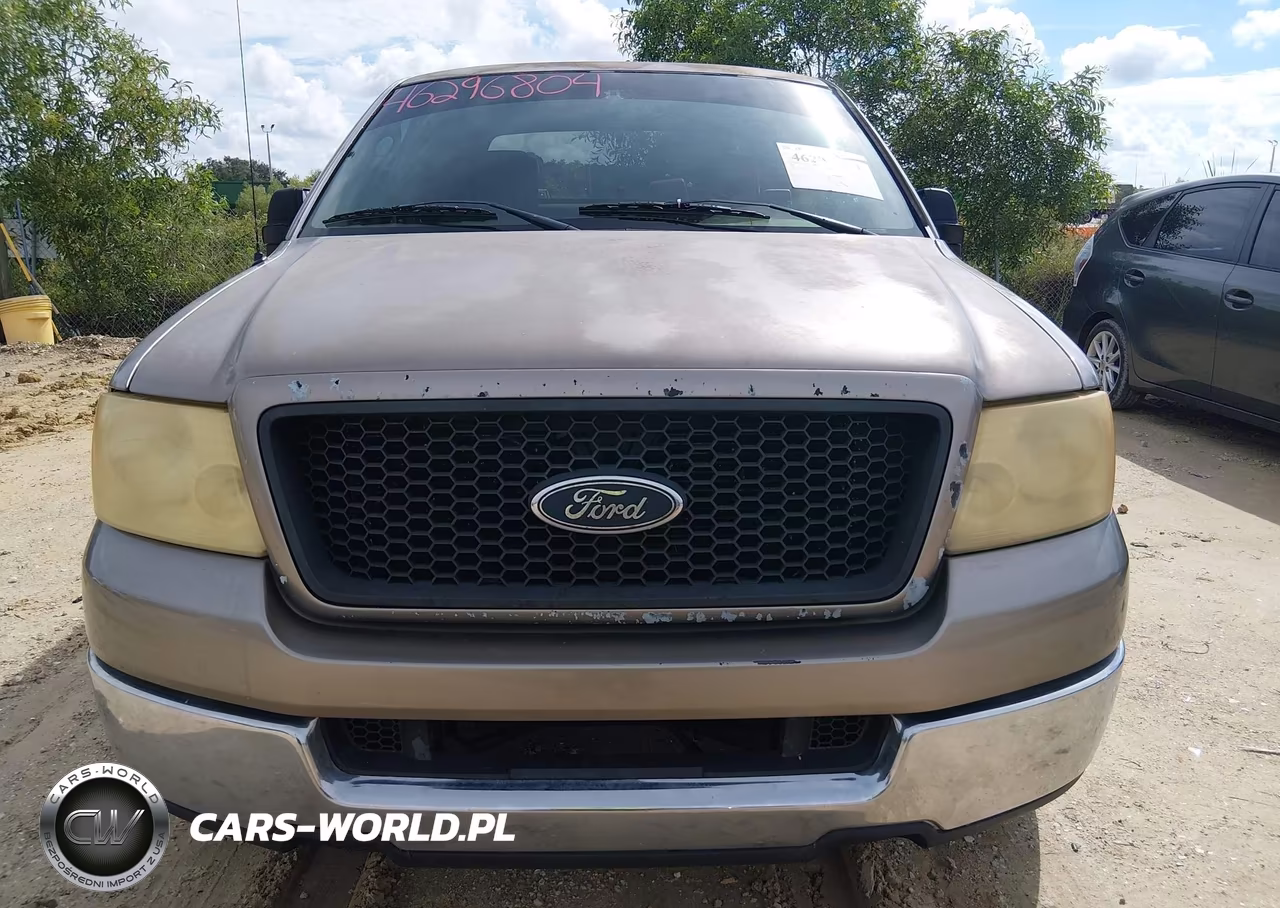2004 Ford F-150 Lariat-Xl-Xlt VIN:1FTPX12584NC50670 - 12
