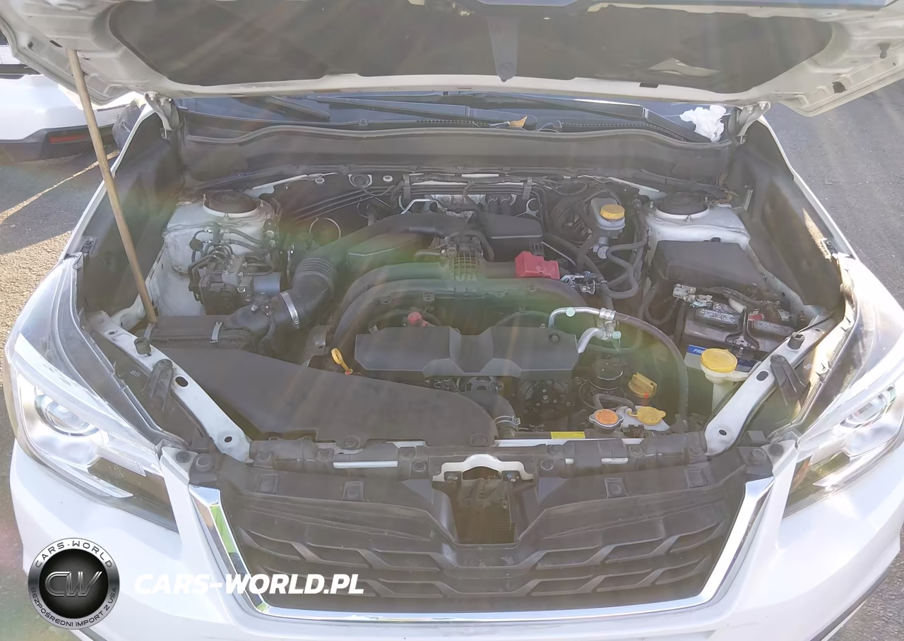 2018 Subaru Forester 2.5I Limited VIN:JF2SJARC4JH444124 - 10