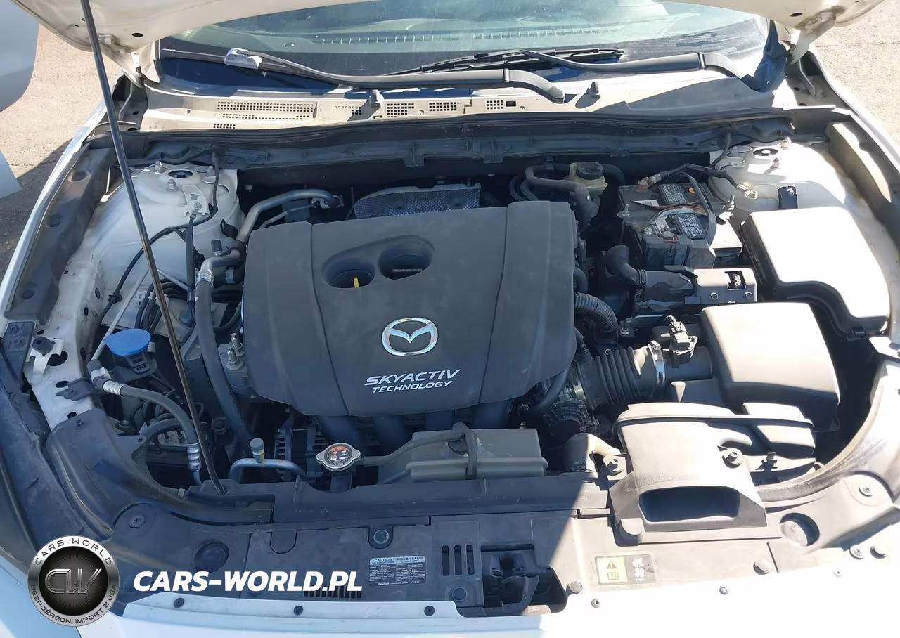 2016 Mazda Mazda3 I Touring VIN:3MZBM1M73GM318774 - 10