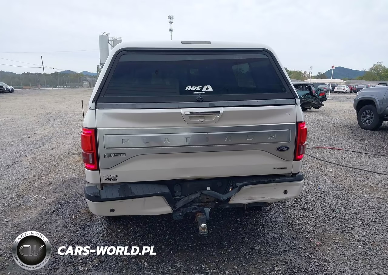 2015 FORD F-150 VIN:1FTFW1EF5FFA19550 - 16