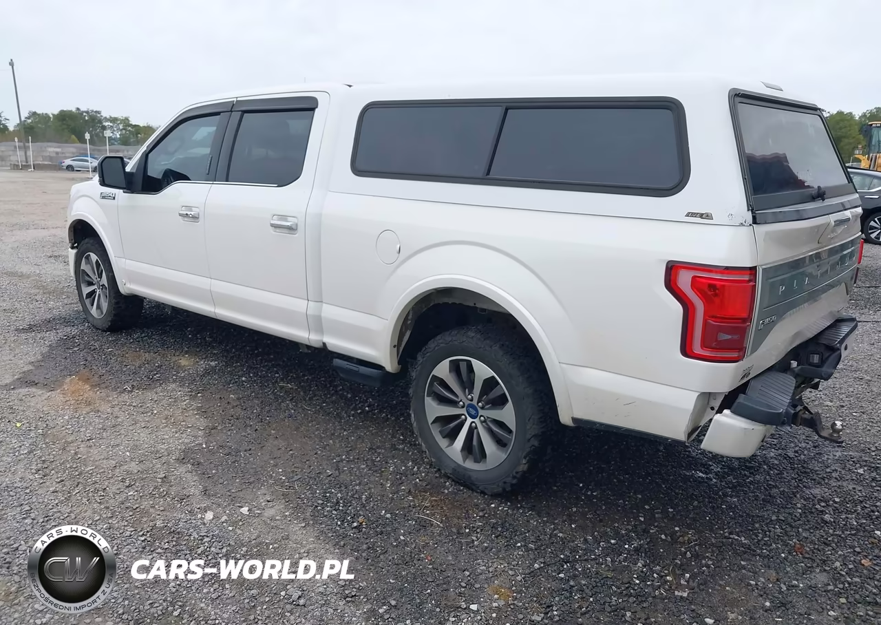 2015 FORD F-150 VIN:1FTFW1EF5FFA19550 - 3