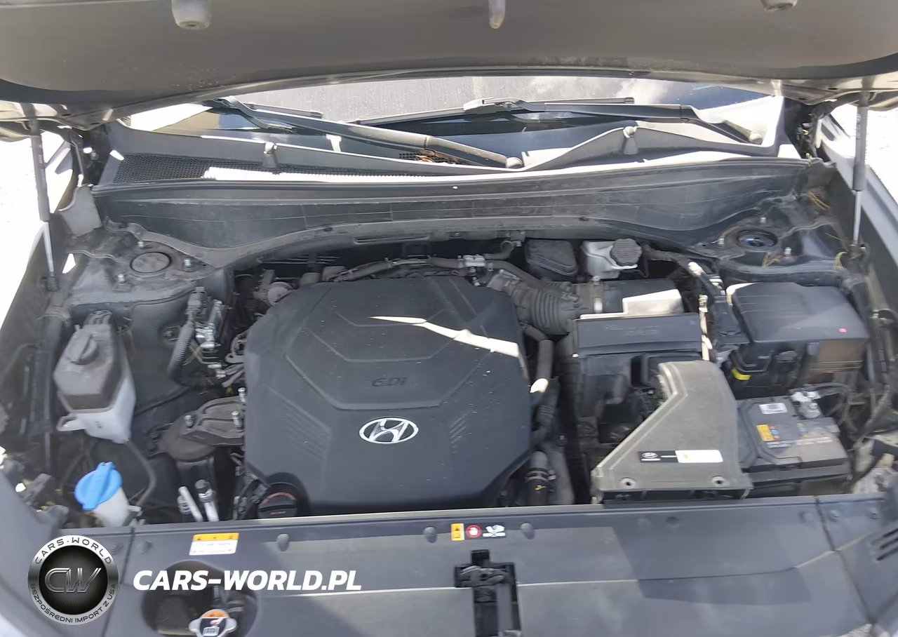 2021 Hyundai Palisade Limited VIN:KM8R5DHE5MU203105 - 10