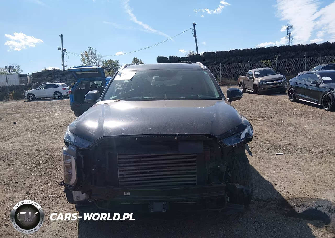 2021 Hyundai Palisade Limited VIN:KM8R5DHE5MU203105 - 12