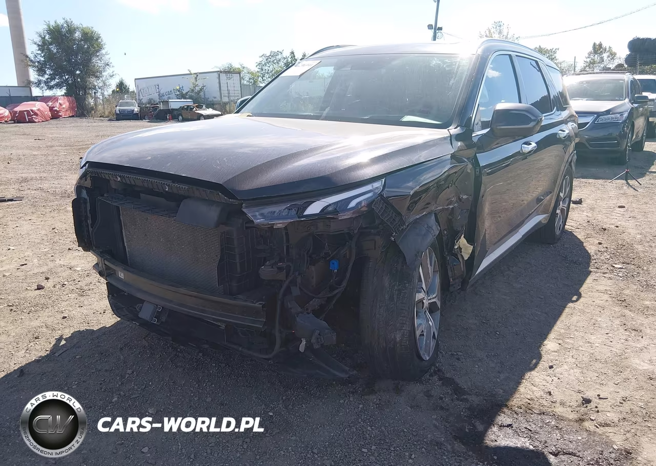 2021 Hyundai Palisade Limited VIN:KM8R5DHE5MU203105 - 6