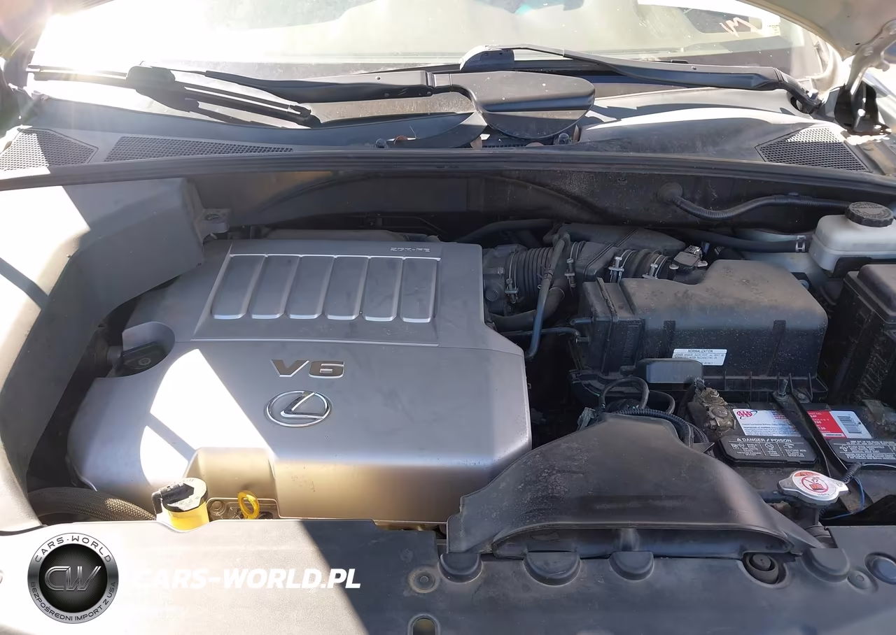 2009 Lexus Rx 350 VIN:2T2HK31U59C118141 - 10
