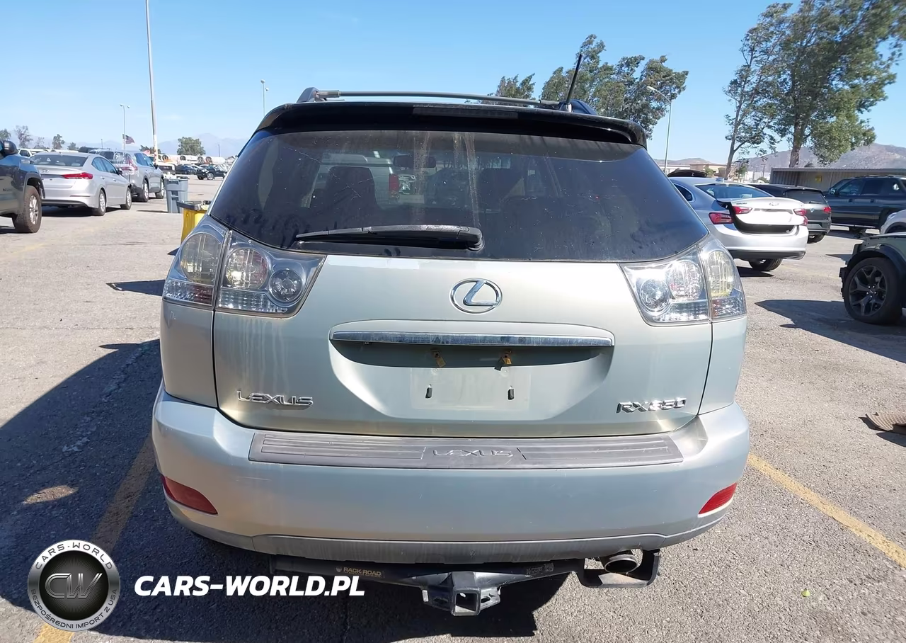 2009 Lexus Rx 350 VIN:2T2HK31U59C118141 - 16