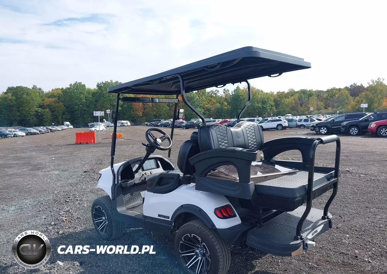 2024 Kodiak Golf Cart VIN:7V3KSC1D2RG001541 - 3