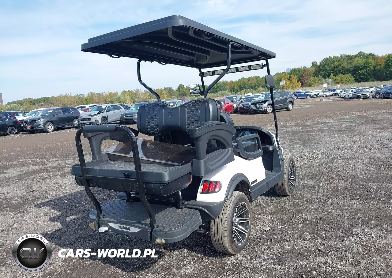 2024 Kodiak Golf Cart VIN:7V3KSC1D2RG001541 - 4