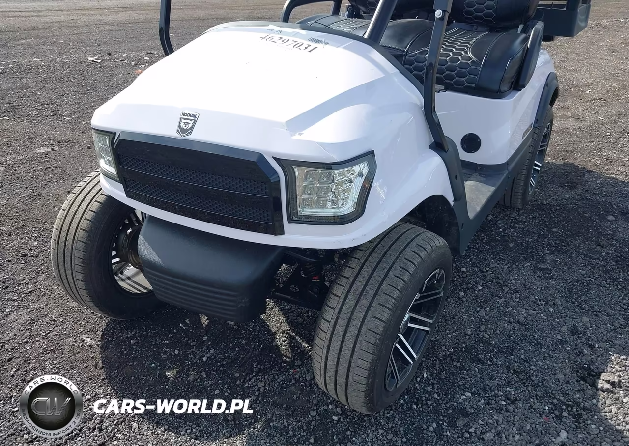 2024 Kodiak Golf Cart VIN:7V3KSC1D2RG001541 - 6