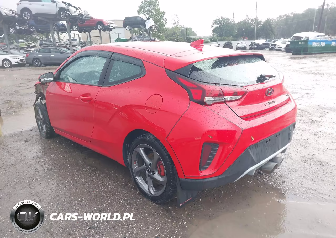 2019 Hyundai Veloster 2.0 VIN:KMHTG6AF5KU017303 - 3