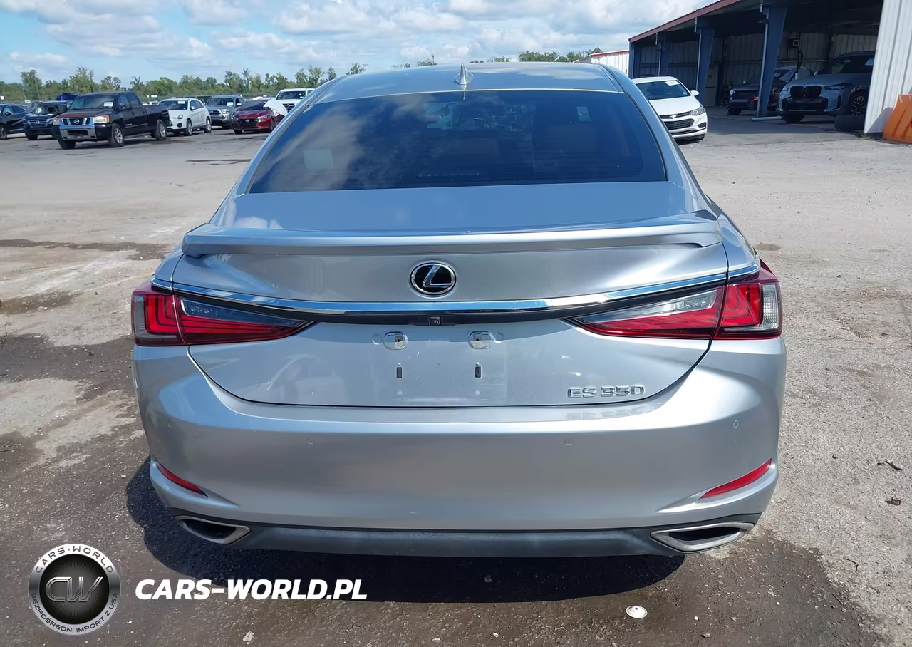 2022 Lexus Es 350 VIN:58ADZ1B18NU117624 - 17