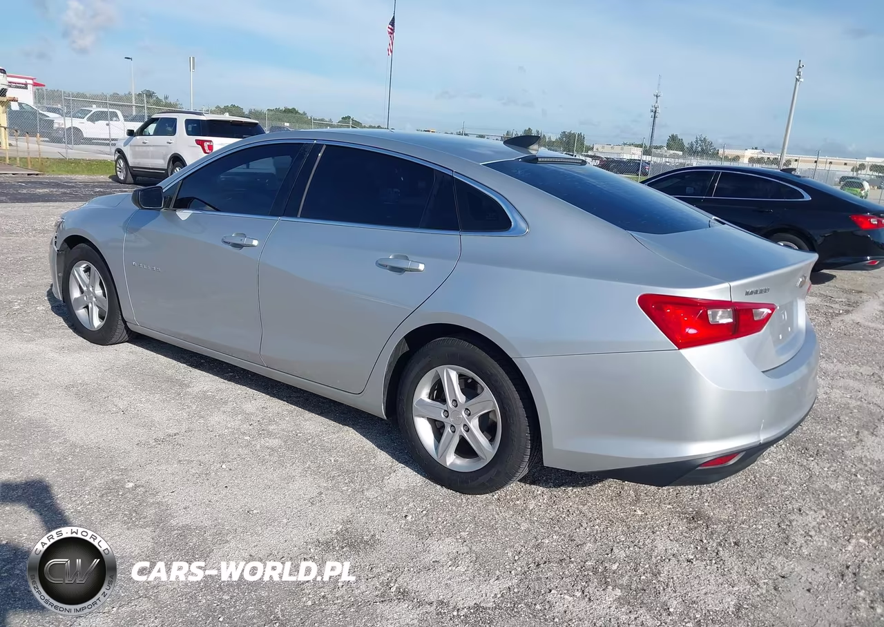 2020 Chevrolet Malibu Fwd 1Fl VIN:1G1ZC5STXLF011312 - 3