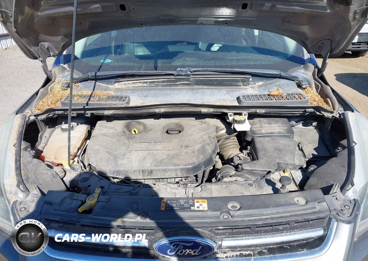 2014 Ford Escape Titanium VIN:1FMCU9J9XEUA53481 - 10