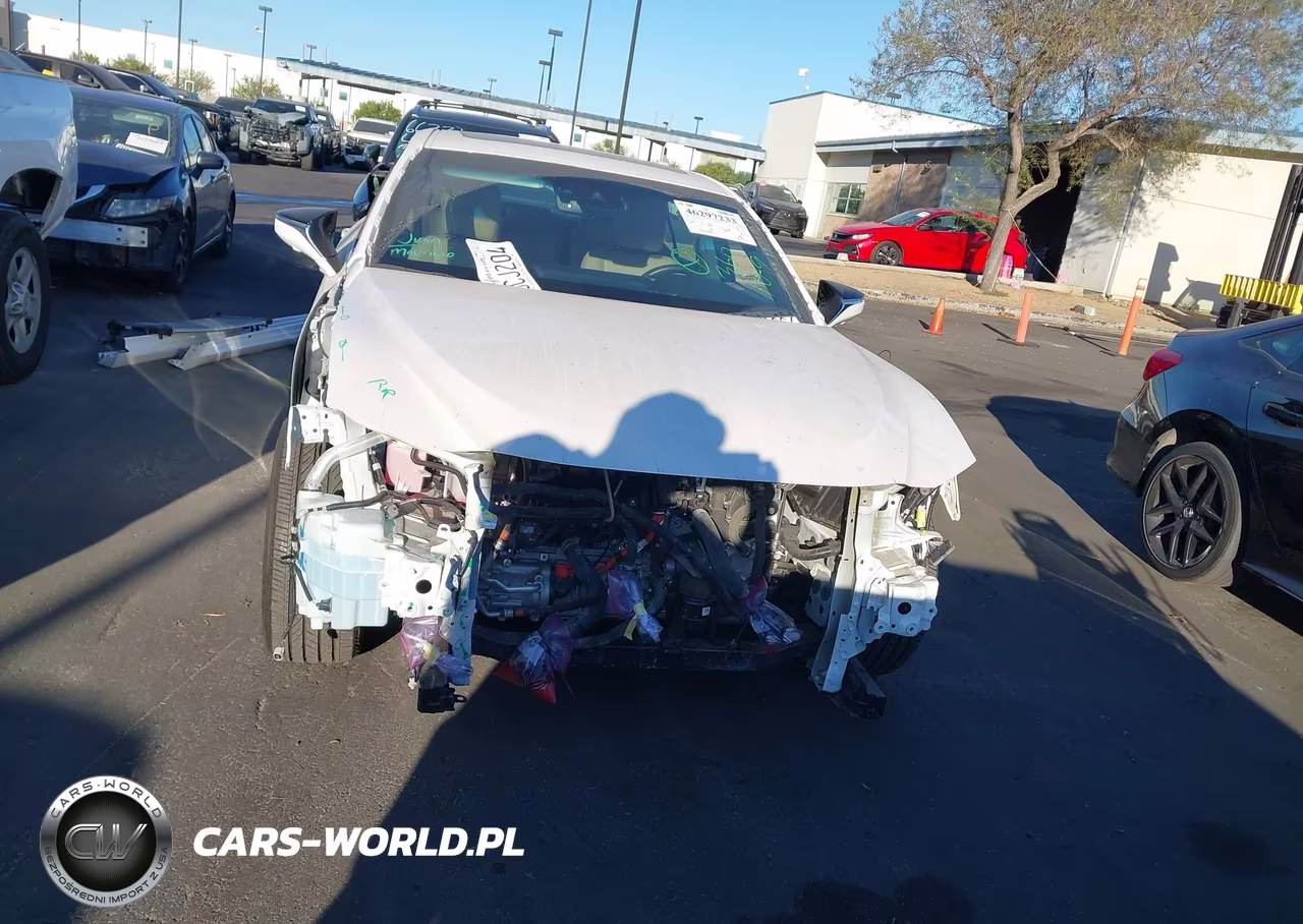2020 Lexus Es 300H Luxury VIN:58AE21B12LU010655 - 13